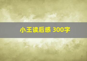 小王读后感 300字